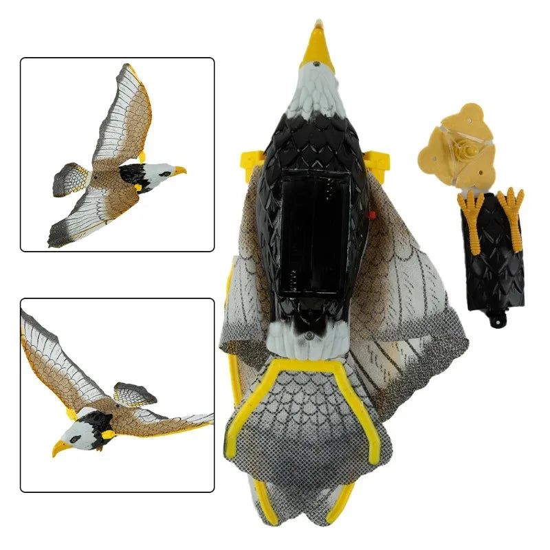 Circling Hanging Line Flying Eagle Simulation Flying