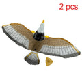 Circling Hanging Line Flying Eagle Simulation Flying
