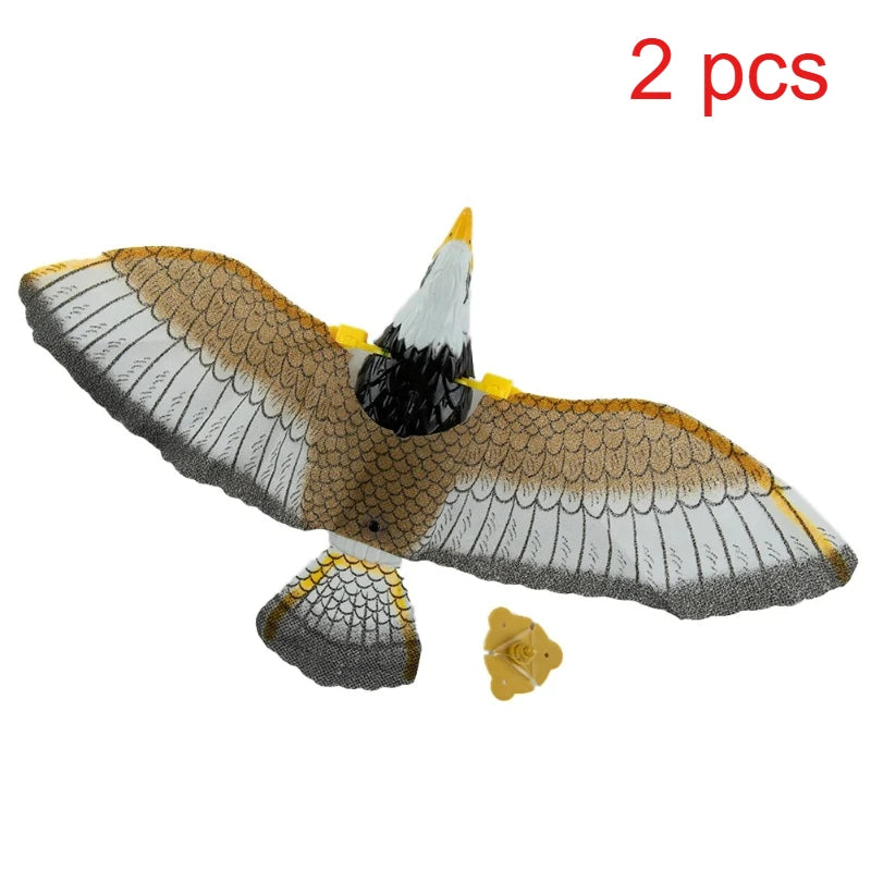 Circling Hanging Line Flying Eagle Simulation Flying