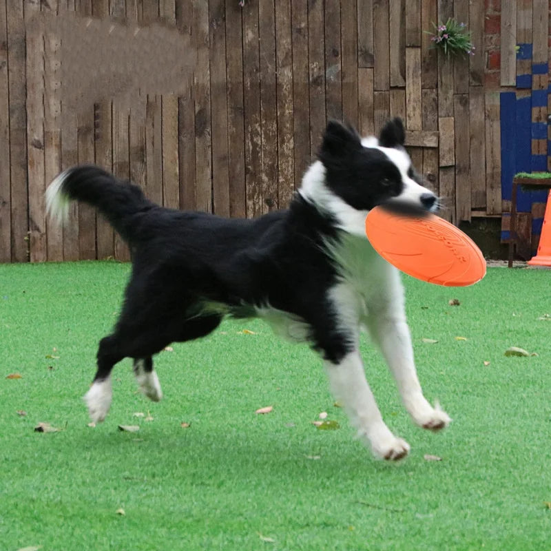 Silicone Flying Saucer Funny Dog Cat Toy Dog Game Flying Discs