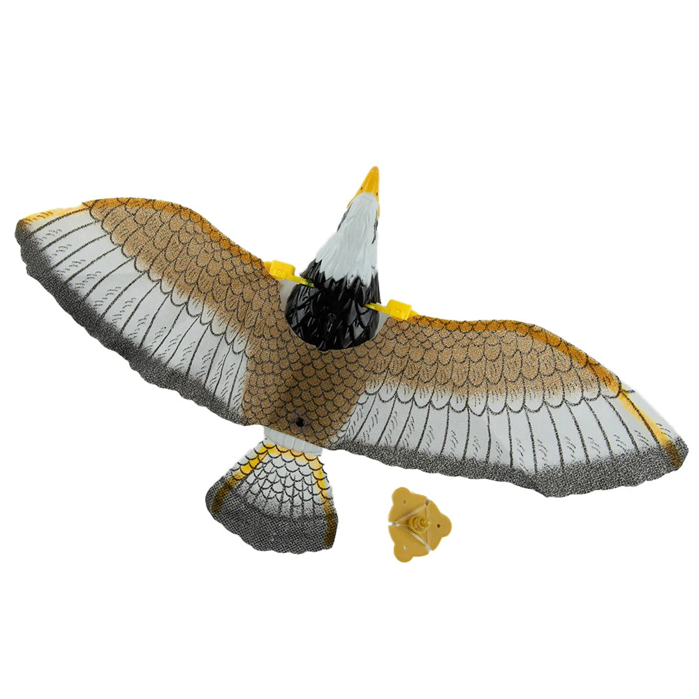 Circling Hanging Line Flying Eagle Simulation Flying