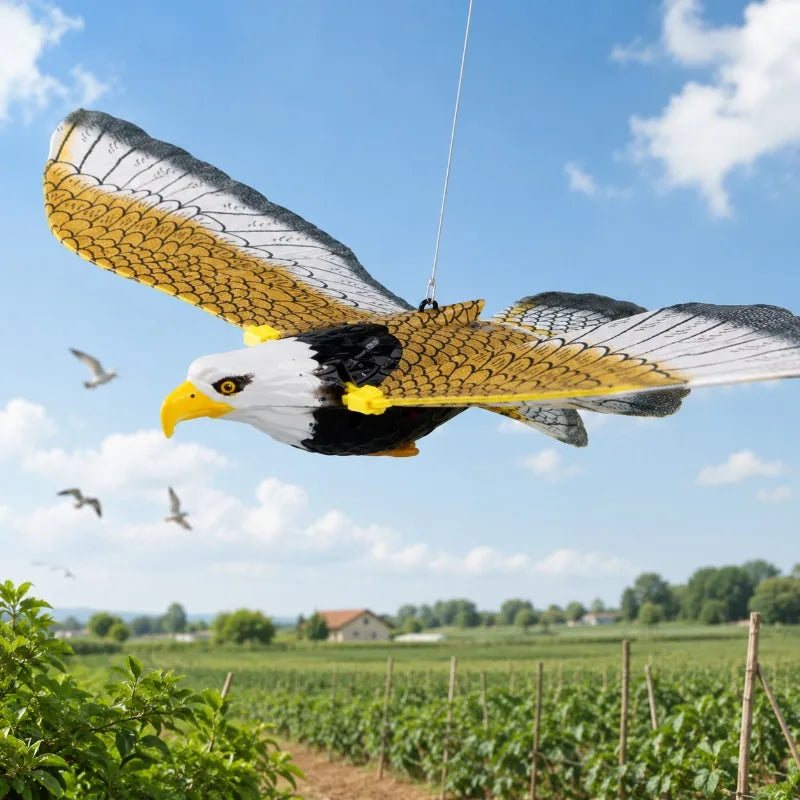 Circling Hanging Line Flying Eagle Simulation Flying