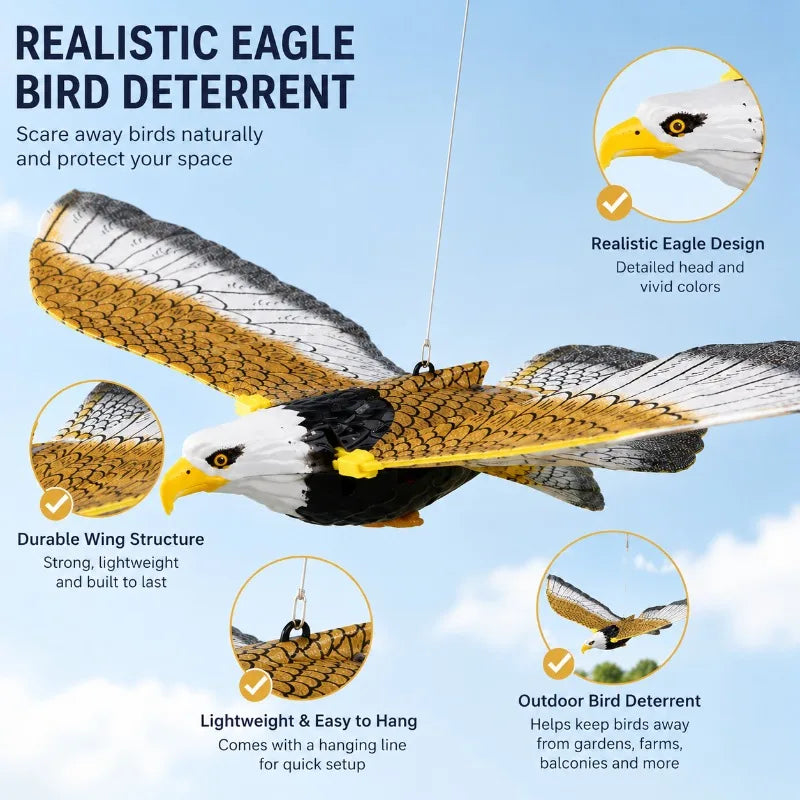 Circling Hanging Line Flying Eagle Simulation Flying